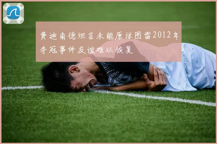 费迪南德坦言未能原谅图雷2012年夺冠事件友谊难以恢复