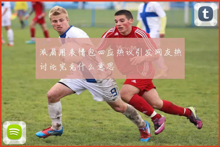 浓眉用表情包回应热议引发网友热讨论究竟什么意思