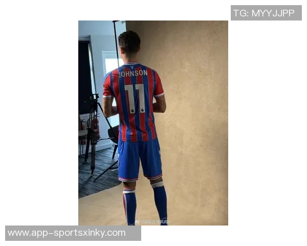 电讯报称水晶宫冬窗欲引热刺边锋布伦南约翰逊补强锋线 电讯报称水晶宫冬窗欲引热刺边锋布伦南约翰逊补强锋线